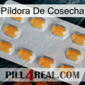 Píldora De Cosecha cialis3